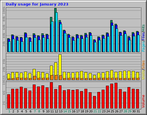 Daily usage for January 2023